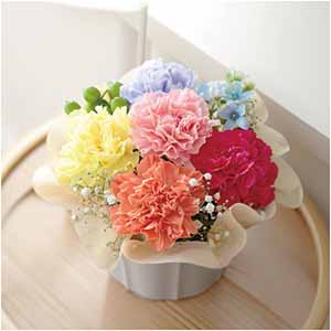 竹中庭園緑化 虹色カラーアレンジ【母の日】