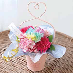 竹中庭園緑化 フラワーアレンジ「レインボーキャンディ」【母の日】