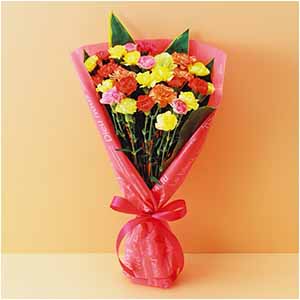 竹中庭園緑化 彩りカーネーションブーケ【母の日】