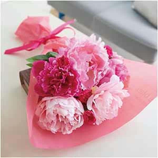 竹中庭園緑化 しゃくやく5種のおくりもの【母の日】