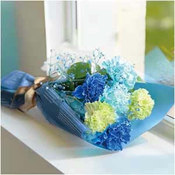 竹中庭園緑化 ブルーハーモニーブーケ【母の日】