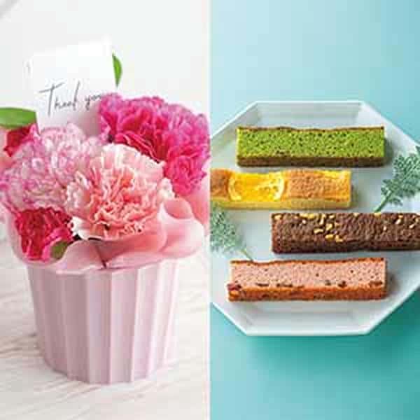 竹中庭園緑化 母の日カーネーションアレンジ＋ひととえ キュートセレクション【母の日】