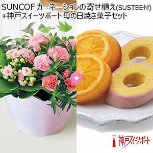 SUNCOF カーネーションの寄せ植え(SUSTEE付)＋神戸スイーツポート 母の日焼き菓子セット 【母の日】