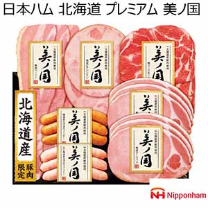 日本ハム 北海道産豚肉使用 美ノ国 【冬ギフト・お歳暮】 [UKH-38]
