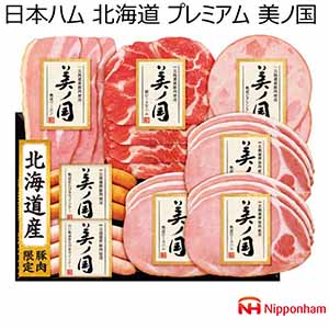 日本ハム 北海道産豚肉使用 美ノ国 【冬ギフト・お歳暮】 [UKH-48]