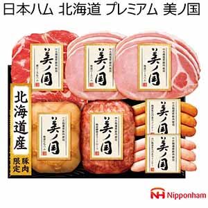 日本ハム 北海道産豚肉使用 美ノ国 【冬ギフト・お歳暮】 [UKH-53]