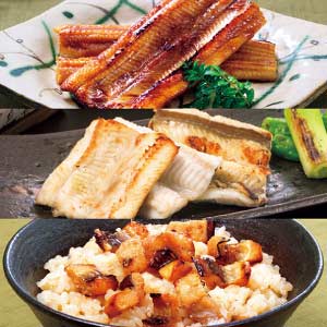 和田珍味 あなごづくしセット【夏の贈りもの・お中元】[KOK47]