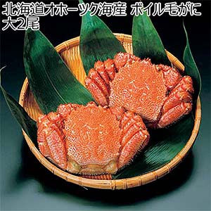 北海道オホーツク海産 ボイル毛がに 大2尾【冬の贈りもの・お歳暮】[1995]