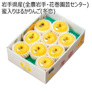岩手県産(全農岩手・花巻園芸センター) 蜜入りはるかりんご(冬恋)(お届け期間：12/13〜12/31)【冬の贈りもの・お歳暮】