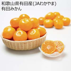 和歌山県有田産(JAわかやま) 有田みかん(お届け期間：11/21〜12/28)【冬の贈りもの・お歳暮】