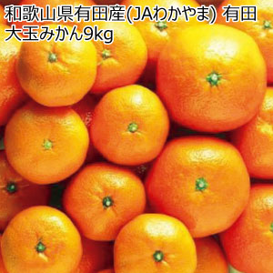 和歌山県有田産(JAわかやま) 有田大玉みかん9kg(お届け期間：11/21〜12/28)【冬の贈りもの・お歳暮】