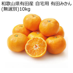 和歌山県有田産 自宅用 有田みかん(無選別)10kg(お届け期間：11/21〜12/28)【冬の贈りもの・お歳暮】