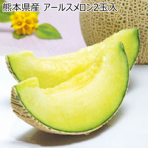 熊本県産 アールスメロン2玉入(お届け期間：12/1〜12/30)【冬の贈りもの・お歳暮】