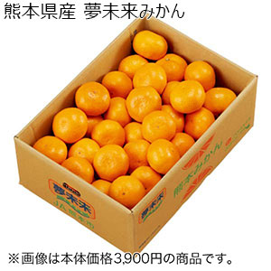 熊本県産 夢未来みかん(お届け期間：11/25〜12/31)【冬の贈りもの・お歳暮】