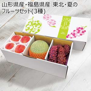 山形県産・福島県産 東北・夏のフルーツセット(3種)(お届け期間：7/21〜8/10)【夏の贈りもの・お中元】