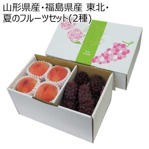 山形県産・福島県産 東北・夏のフルーツセット(2種)(お届け期間：7/21〜8/10)【夏の贈りもの・お中元】