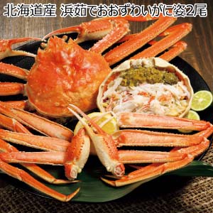 北海道産 浜茹でおおずわいがに姿2尾【冬の贈りもの・お歳暮】