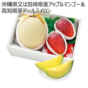 沖縄県又は宮崎県産アップルマンゴー＆高知県産アールスメロン(お届け期間：6/21〜8/15)【夏の贈りもの・お中元】