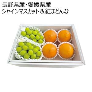 長野県産・愛媛県産 シャインマスカット＆紅まどんな(お届け期間：11/21〜12/28)【冬の贈りもの・お歳暮】