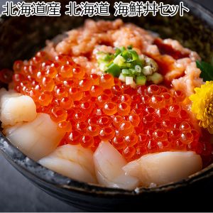 北海道産 北海道 海鮮丼セット いくら醤油漬100g 鮭とろ120g ほたて貝柱150g【おいしいお取り寄せ】