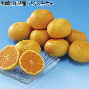みかん・柑橘類 - イオンショップ