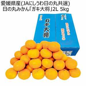 愛媛県産(JAにしうわ日の丸共選) 日の丸みかん「ガキ大将」2L 5kg (お届け期間：12/4〜12/31)【冬ギフト・お歳暮】