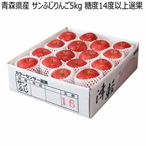 青森県産 サンふじりんご5kg 糖度14度以上選果 (お届け期間：12/1〜12/31)【冬ギフト・お歳暮】