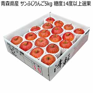 青森県産 サンふじりんご5kg 糖度14度以上選果 (お届け期間：12/1〜12/31)【冬ギフト・お歳暮】