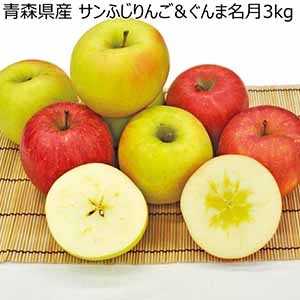 青森県産 サンふじりんご＆ぐんま名月3kg (お届け期間：12/1〜12/20)【冬ギフト・お歳暮】