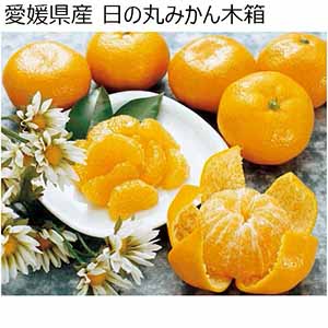 愛媛県産 日の丸みかん木箱 60個 計5kg以上 (お届け期間：12/1〜12/23) 【冬ギフト・お歳暮】