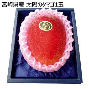 宮崎県産 太陽のタマゴ1玉(お届け期間：5/26〜7/15)【夏の贈りもの・お中元】