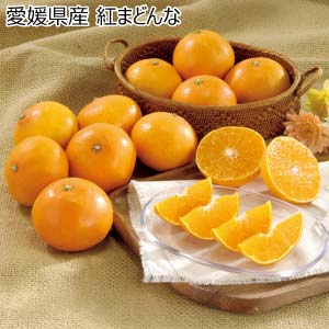 愛媛県産 紅まどんな(お届け期間：11/25〜12/31)【冬の贈りもの・お歳暮】