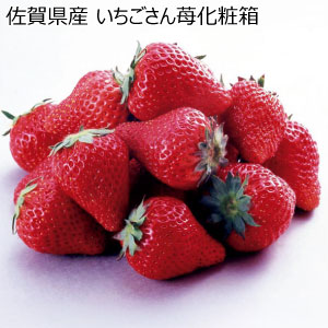 佐賀県産 いちごさん苺化粧箱(お届け期間：12/11〜12/28)【冬の贈りもの・お歳暮】