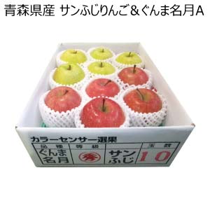 青森県産 サンふじりんご＆ぐんま名月A(お届け期間：12/1〜12/20)【冬の贈りもの・お歳暮】