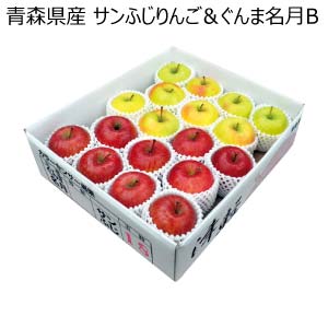 青森県産 サンふじりんご＆ぐんま名月B(お届け期間：12/1〜12/20)【冬の贈りもの・お歳暮】