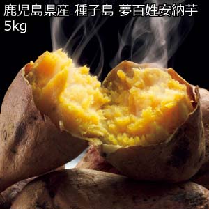 鹿児島県産 種子島 夢百姓安納芋5kg(お届け期間：11/11〜12/31)【冬の贈りもの・お歳暮】