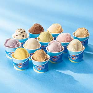 ブルーシール ブルーシールギフト12【夏の贈りもの・お中元】[503455]