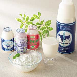 ヤスダヨーグルト ヤスダヨーグルトギフト【夏の贈りもの・お中元】[G2688]