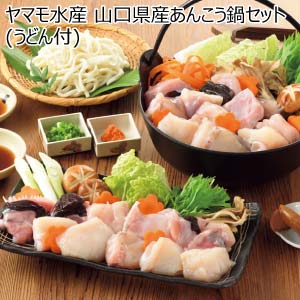ヤマモ水産 山口県産あんこう鍋セット(うどん付)【冬の贈りもの・お歳暮】[AN03]