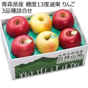 青森県産 糖度13度選果 りんご3品種詰合せ(お届け期間：12/1〜12/31)【冬の贈りもの・お歳暮】[W2601]
