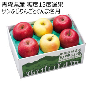 青森県産 糖度13度選果 サンふじりんごとぐんま名月(お届け期間：12/1〜12/31)【冬の贈りもの・お歳暮】[W2602]