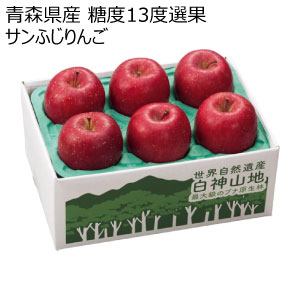青森県産 糖度13度選果 サンふじりんご(お届け期間：12/1〜12/31)【冬の贈りもの・お歳暮】[W2603]