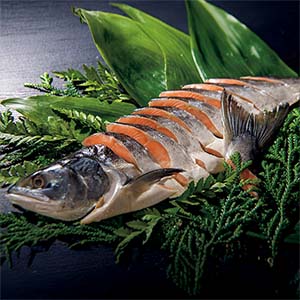 三協水産 北海道日高沖 秋鮭切身 70g×8【おいしいお取り寄せ