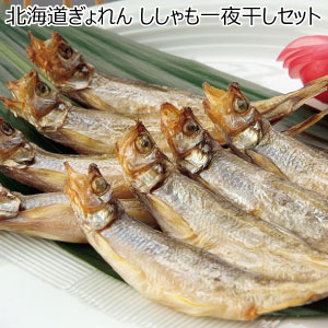 北海道ぎょれん ししゃも一夜干しセット【冬の贈りもの・お歳暮】