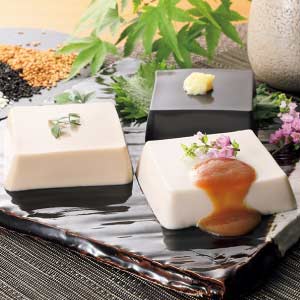 聖食品 高野山胡麻とうふセット【夏の贈りもの・お中元】[HF-12]