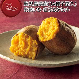 鹿児島県産(JA種子屋久) 安納いも・紅はるかセット(お届け期間：11/11〜12/23)【冬の贈りもの・お歳暮】