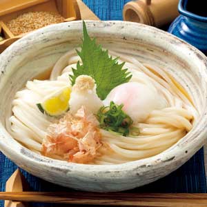 伝統の味 藤麺 冷凍さぬきぶっかけうどんセット【夏の贈りもの・お中元】[L-5KB]