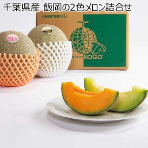 千葉県産 飯岡の2色メロン詰合せ(お届け期間：6/11〜8/15)【夏の贈りもの・お中元】