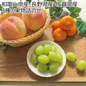 和歌山県産・長野県産・佐賀県産 3種の果物詰合せ(お届け期間：7/21〜8/15)【夏の贈りもの・お中元】