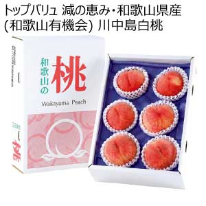 トップバリュ 減の恵み・和歌山県産(和歌山有機会) 川中島白桃(お届け期間：7/21〜8/15)【夏の贈りもの・お中元】